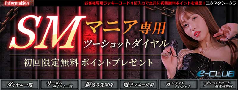 エクスタシークラブイメージ