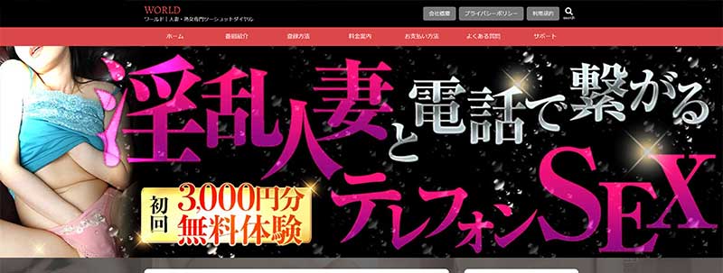 人妻・熟女と濃厚テレSEXイメージ
